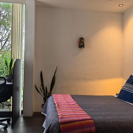 Casa Marlui-San Jose Apartment Curridabat Ngoại thất bức ảnh